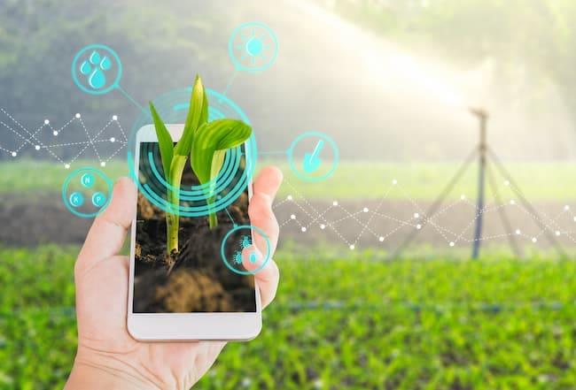Integração de IA e IoT na gestão agrícola