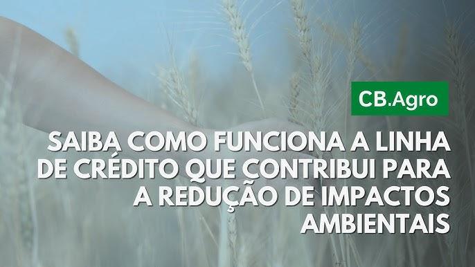 Floresta plantada em fazenda de baixo carbono