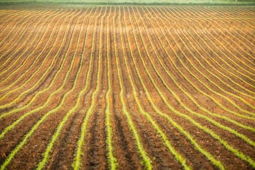 Drones e tecnologias avançadas na agricultura de precisão