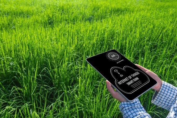 Tecnologias IoT monitorando máquinas agrícolas em tempo real