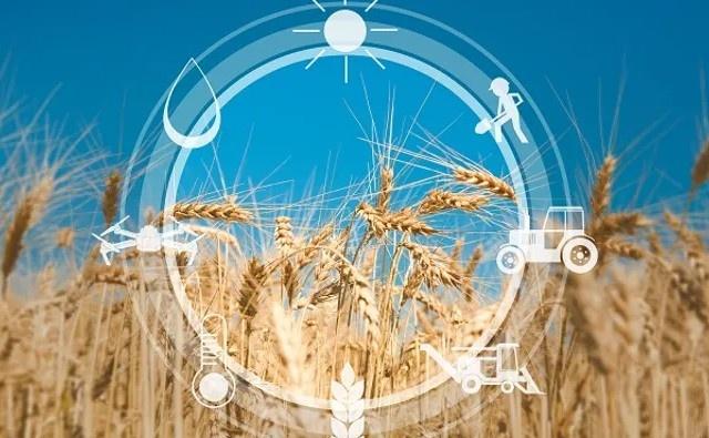 Análise de dados IoT para otimização de lavouras