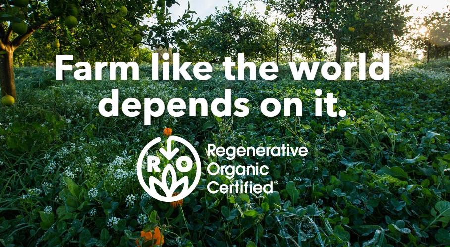 Agricultor orgânico colhendo produtos frescos em ambiente sustentável