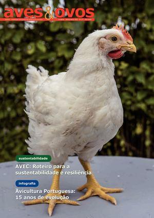 Exportação de carcaças de suínos brasileiros para Alemanha