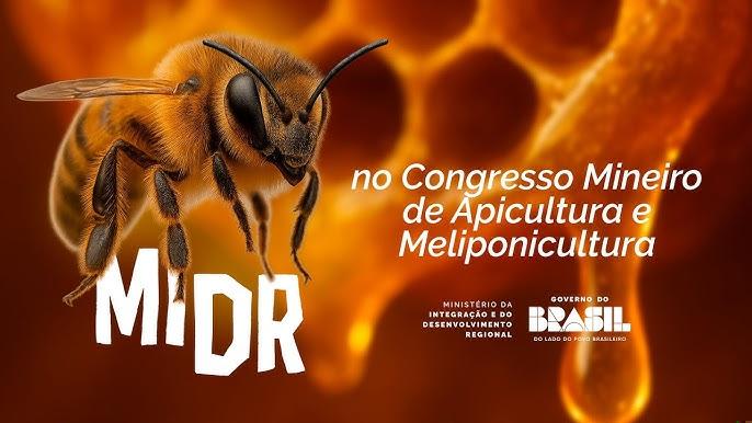 Colmeias de apicultura e meliponicultura em ambiente rural