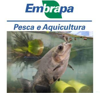 Tanques de piscicultura em represa no Brasil