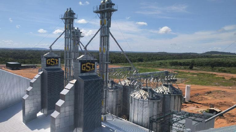 Caminhão transportando grãos por estrada rural no Brasil