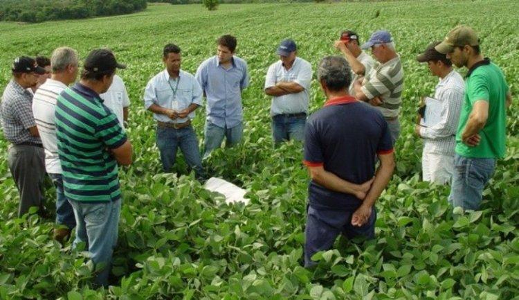 Produtores participando de dia de campo com extensionista