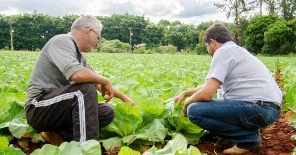 Projeto de ATER aumentando produtividade em fazenda familiar