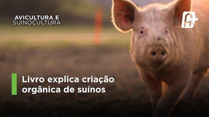 Protocolos de biossegurança em granjas de suínos e aves