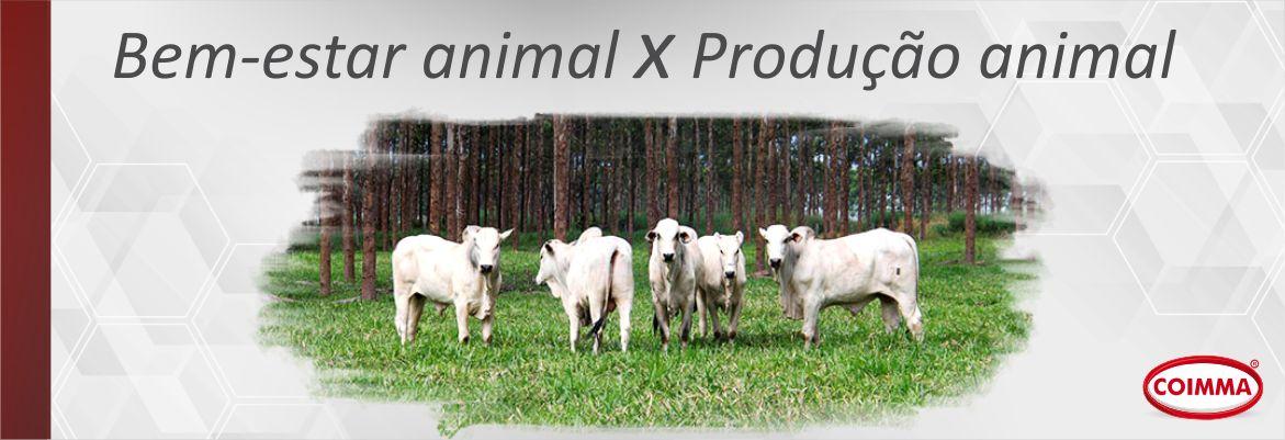 Animais em espaço adequado na produção rural