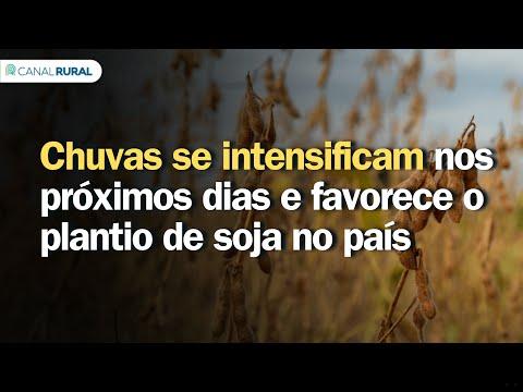 Colheita de soja abundante em campo verde no Mato Grosso