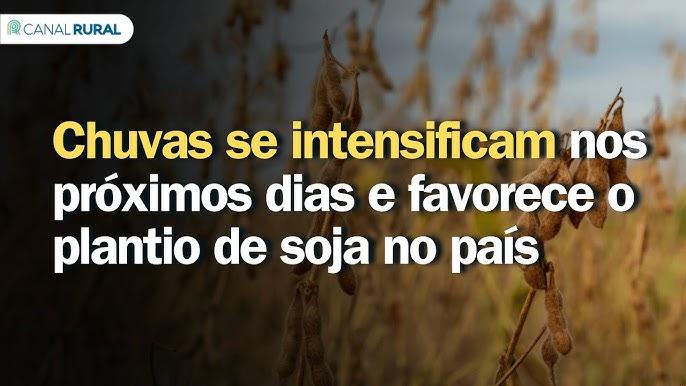 Lavouras de soja verdejantes no Mato Grosso com chuva leve
