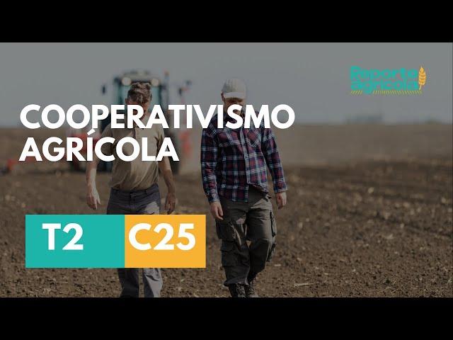 Reunião de produtores em assembleia de cooperativa