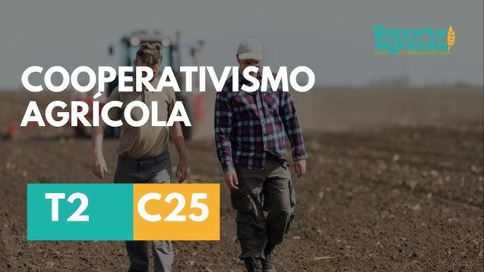 Produtores rurais reunidos em cooperativa agrícola