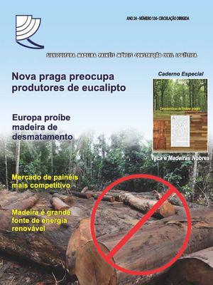 Exemplo de floresta de pinus madura no sul do Brasil