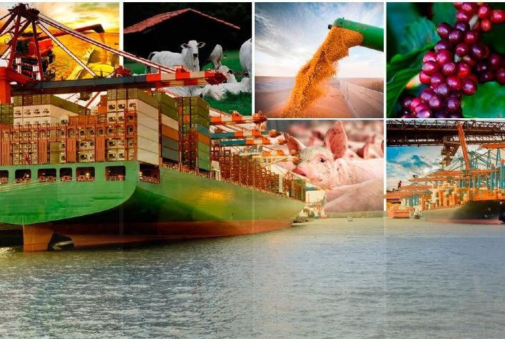 Agricultura familiar exportando frutas frescas