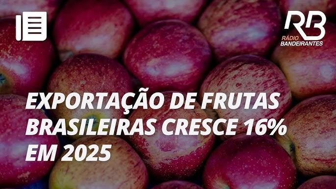 Gráfico mostrando o crescimento das exportações do agro brasileiro em 2012