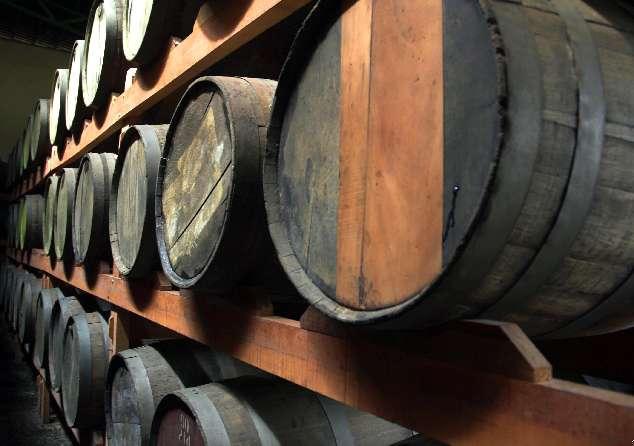 Polos de fruticultura no Brasil mostrando plantações de manga e uva