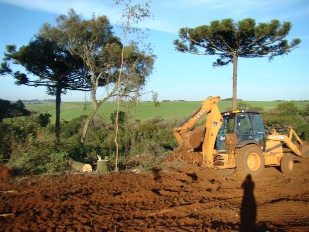 Consequências ambientais do desmatamento no Rio Grande do Sul