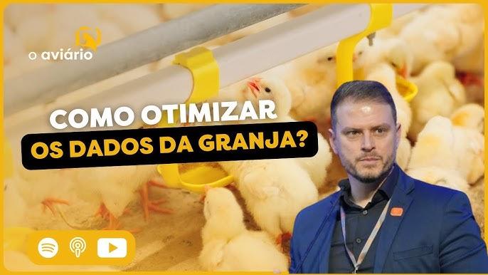 Plataforma de IA otimizando rotas de máquinas agrícolas em campo de milho
