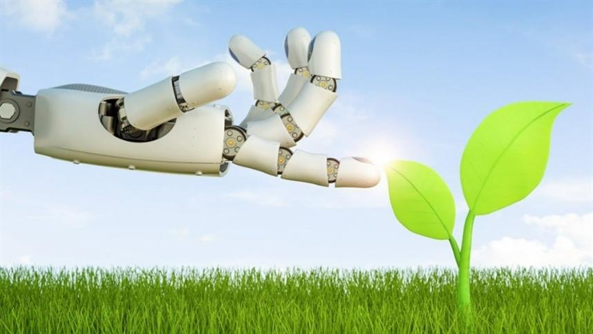 Gráfico de análise de dados por IA prevendo safras em fazendas de café