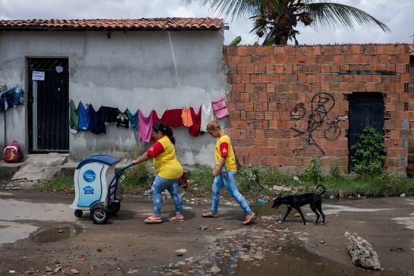 Agricultores familiares colhendo produtos para o PNAE em 2011