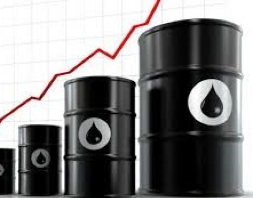 Mercado de milho com alta de preços e negociações