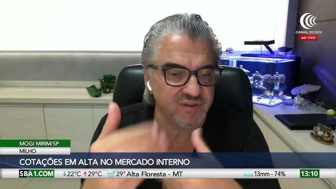 Armazenamento e colheita de milho em alta de mercado