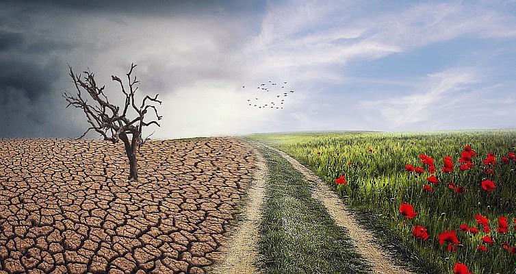 Exemplos de seguro-safra e planejamento climático na roça