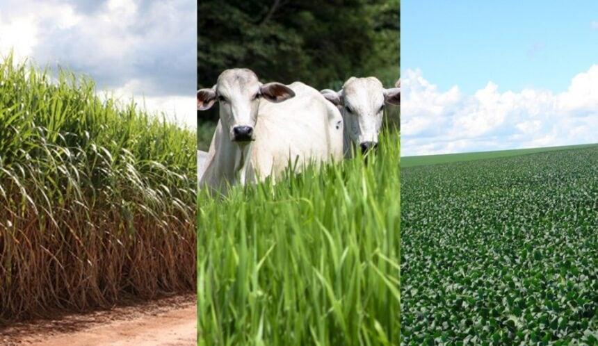 Recuperação de pastagens degradadas com forrageiras