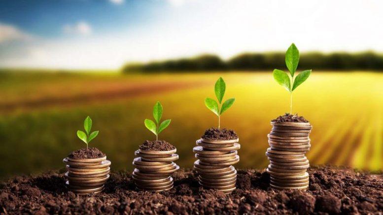 Produtores familiares acessando crédito do Plano Safra