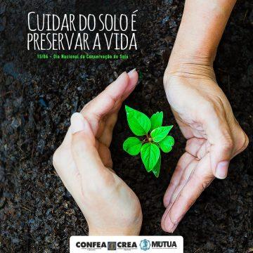 Plantio direto na palha, mostrando cobertura de solo para conservação