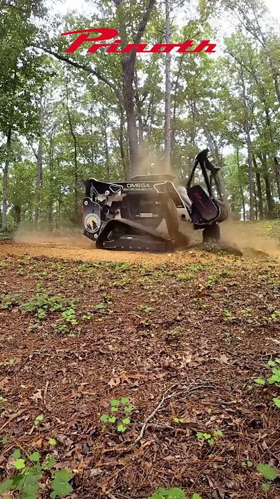 Recuperação de área degradada com teca e nativas