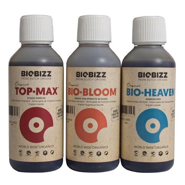 Exemplo de algas verdes entupindo canais hidropônicos, soluções práticas