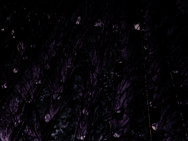 Como Montar um Sistema Hidropônico Vertical de Torre para Cebolinha e Cheiro-Verde