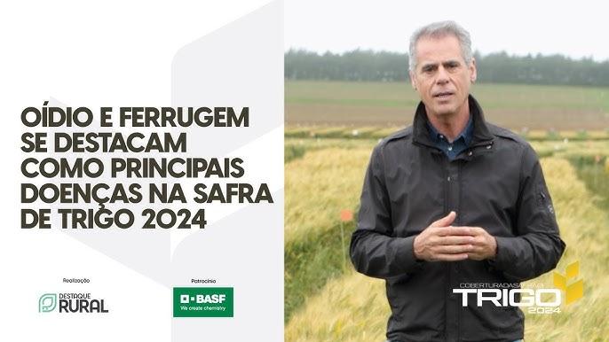 Aplicação de fungicida em cafeeiro para controle de ferrugem avançada