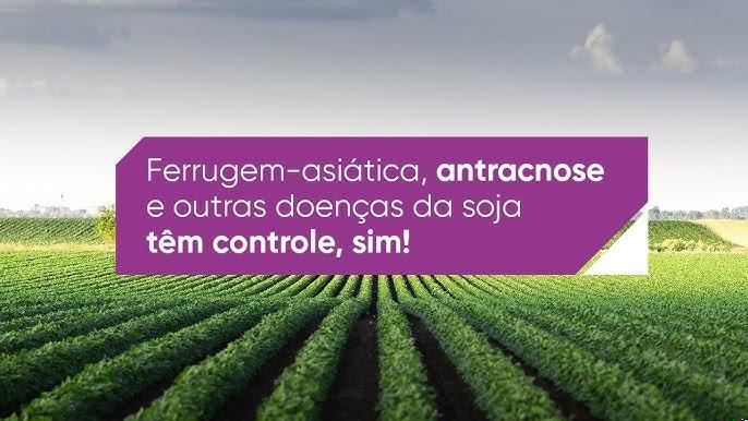 Identificar Estágios Iniciais de Ferrugem no Cafeeiro e Aplicar Fungicida com Eficiência