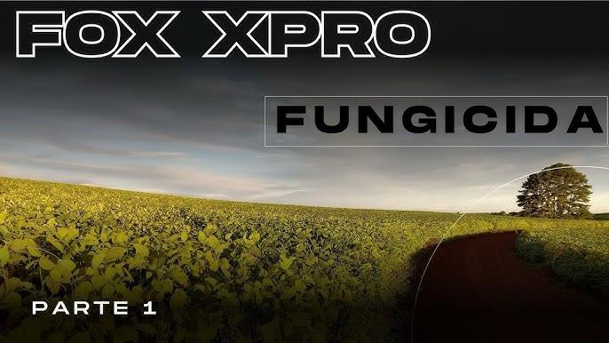 Sintomas de ferrugem asiática em folhas de soja e monitoramento para aplicação de fungicida