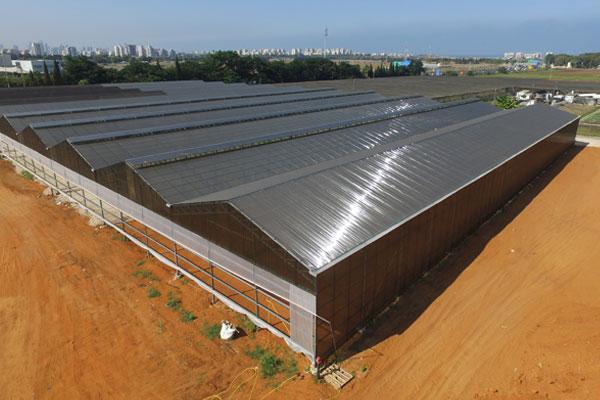 Telhado para Estufa Hidropônica em Clima Quente: Tipos e Escolhas que Afetam o Lucro