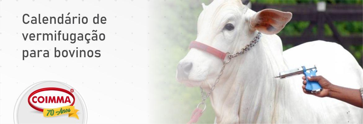 Aplicação prática de vermífugo em vacas leiteiras pós-parto no manejo diário