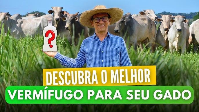 Rebanho bovino leiteiro em protocolo de vermifugação integrado pós-parto