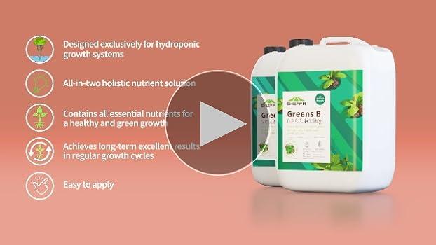 Como Calcular a Solução Nutritiva para Alface na Fase Vegetativa em Hidroponia