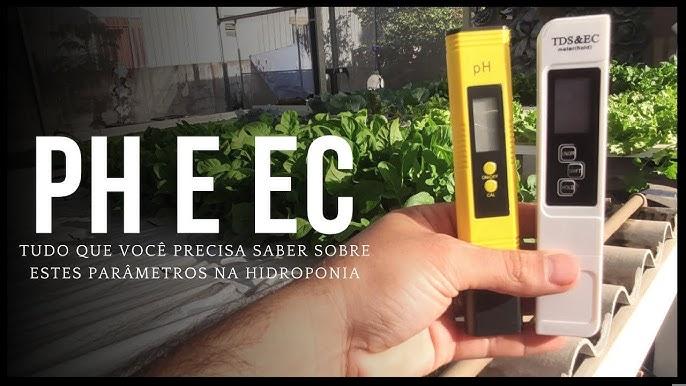 Efeitos visíveis de EC inadequada nas plantas hidropônicas e correções práticas