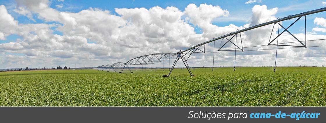Monitoramento de umidade do solo em plantação de cana-de-açúcar com sensores para programação de irrigação na maturação