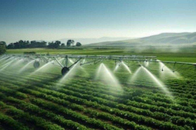 Análise detalhada de eficiência hídrica e produtividade em irrigação de cana por pivô e gotejamento