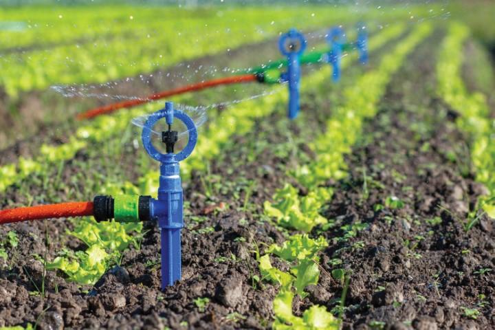 Sistemas de Irrigação por Gotejo com Autocompensação: Manutenção da Uniformidade em Longas Linhas
