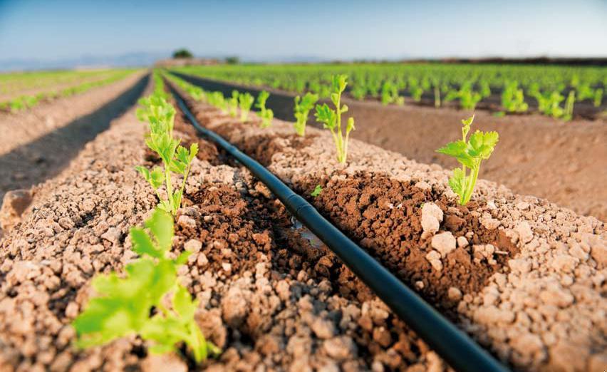Detalhes de válvulas e conexões em instalação de irrigação por gotejo para controle de pressão em tubulações longas