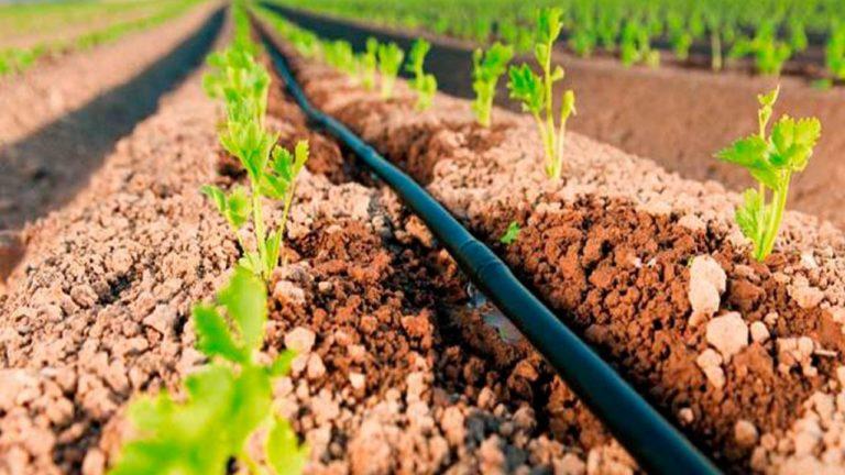 Como Evitar Entupimento de Gotejadores com Filtros de Areia e Discos em Água com Alta Turbidez