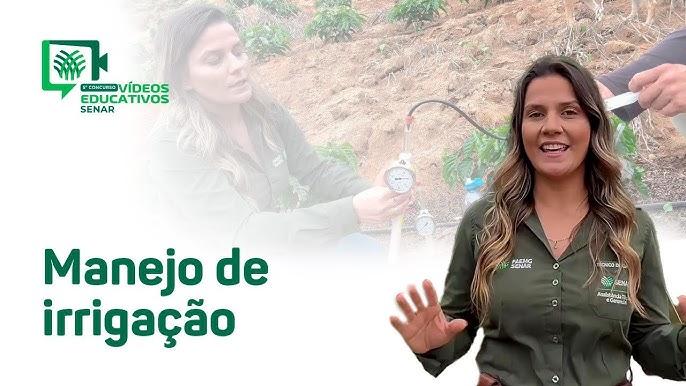 Exemplo de irrigação localizada em trigo para otimizar peso hectolitro durante enchimento de grãos