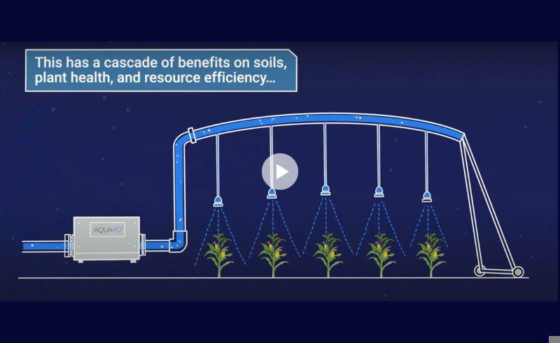 Exemplo de pivô central com irrigação deficitária em plantação de milho para minimizar lixiviação